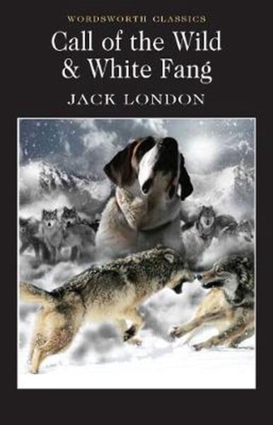 Call Of The Wild & White Fang by Jack London te koop op hetbookcafe.nl