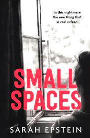 Small Spaces by Sarah Epstein te koop op hetbookcafe.nl